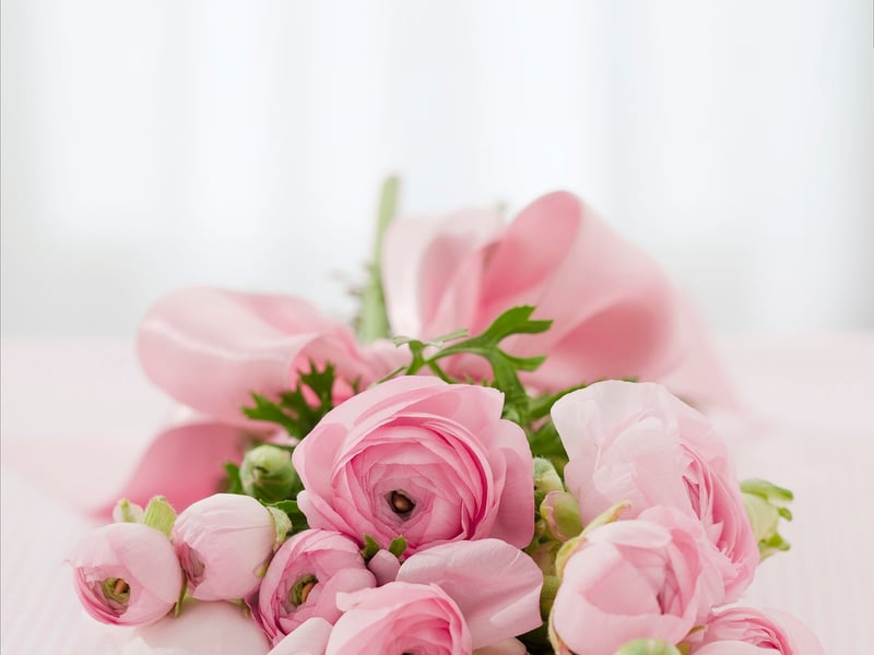 Botanical Decor