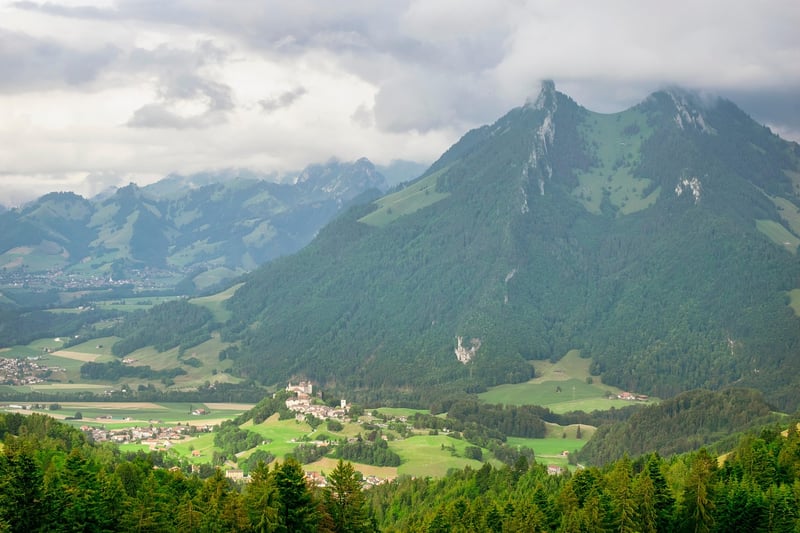 Lush Nature Views